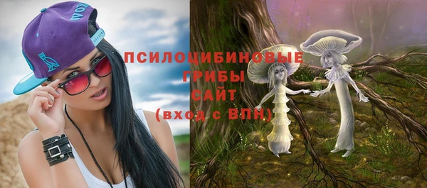СК Александровское