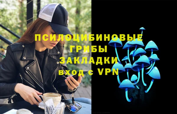 спайс Дмитриев