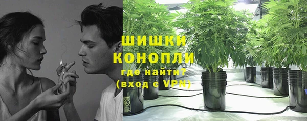 сатива Дмитровск