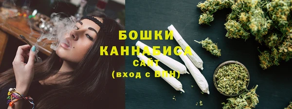 спайс Дмитриев